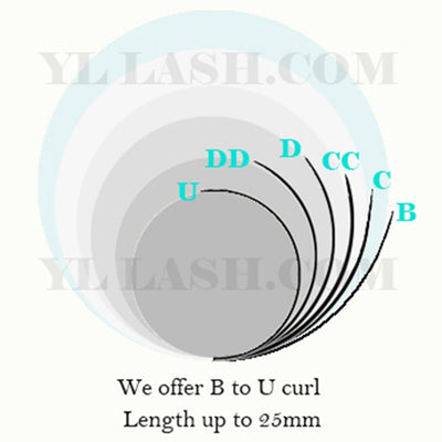 Y Lashes 0.07mm  C/CC/D/DD curl  12-rows