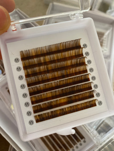 Mixed-Brown Color Lashes 0.05mm  【 8-lines】