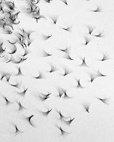 10D-0.03mm POWER-MAX Insta-Mega Pointy Root Premade Fans 500 Fans