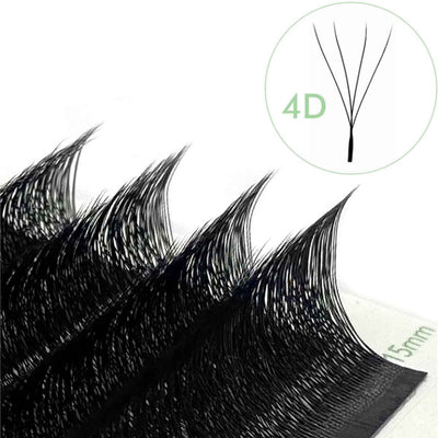 YY 4D | W Lashes 12-lines