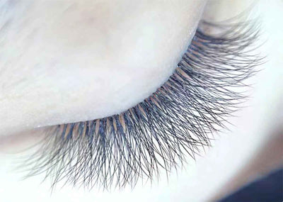 YY 4D | W Lashes 12-lines